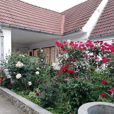 Pensiunea Spack Hotel Cristian  Exterior foto